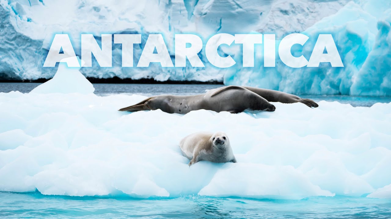 USHUAIA TO ANTARCTICA - 4K (Panasonic GH5)