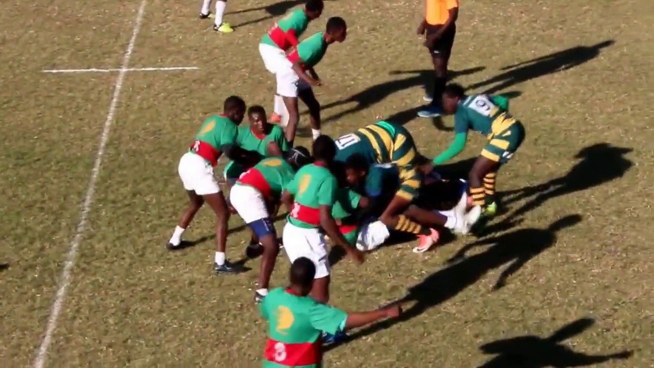 CBC's Hornets VS Plumtree