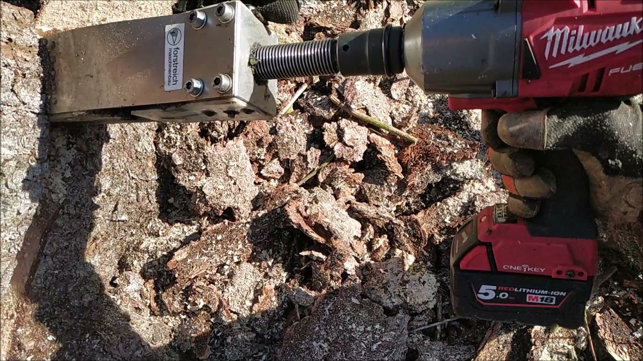 Work in the forest with STIHL MS 500i and felling wedge TR30-AQ - 94/21