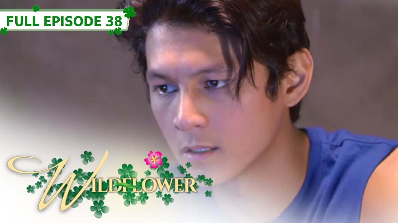 Full Episode 38 | Wildflower with ENG SUB | Maja Salvador, Joseph Marco, RK Bagatsing