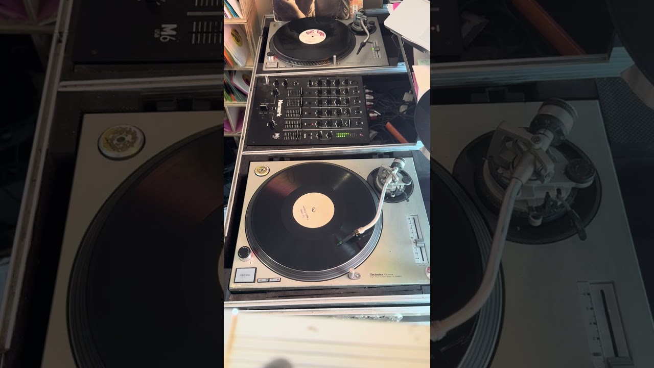 Reggie Stepper -Cu Oonuh