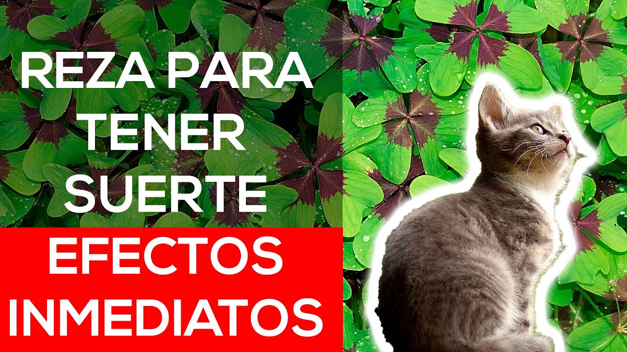 💚Oraci&oacute;n para suerte r&aacute;pida