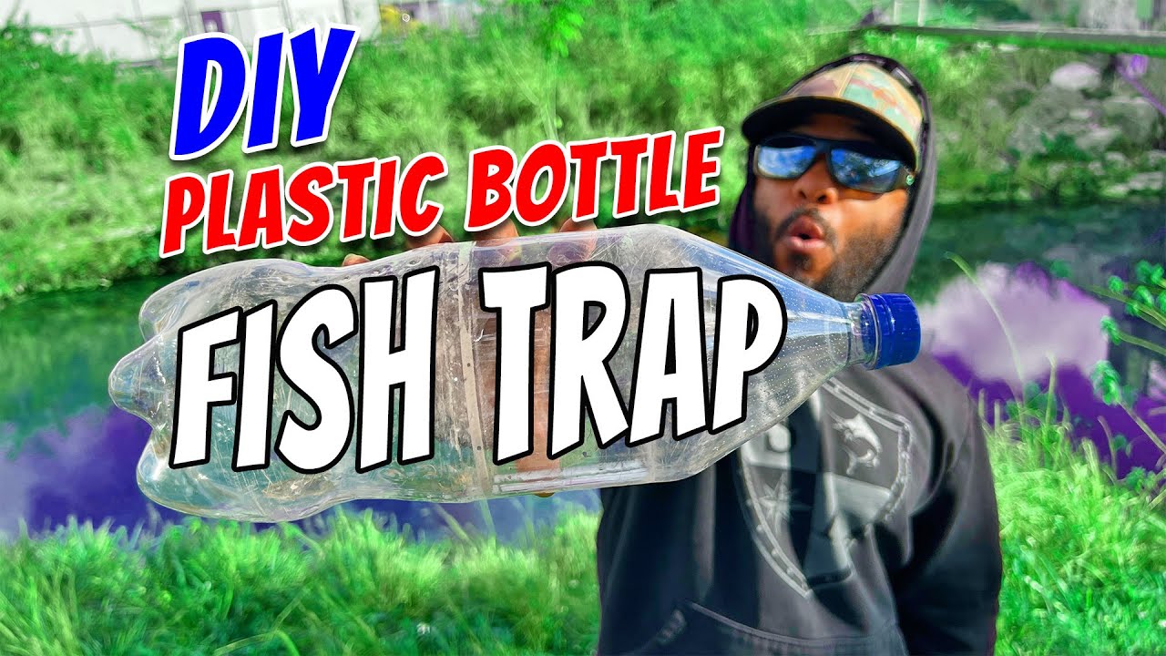 DIY Fish Trap!  Plastic Soda Bottle Bait Trap Fishing