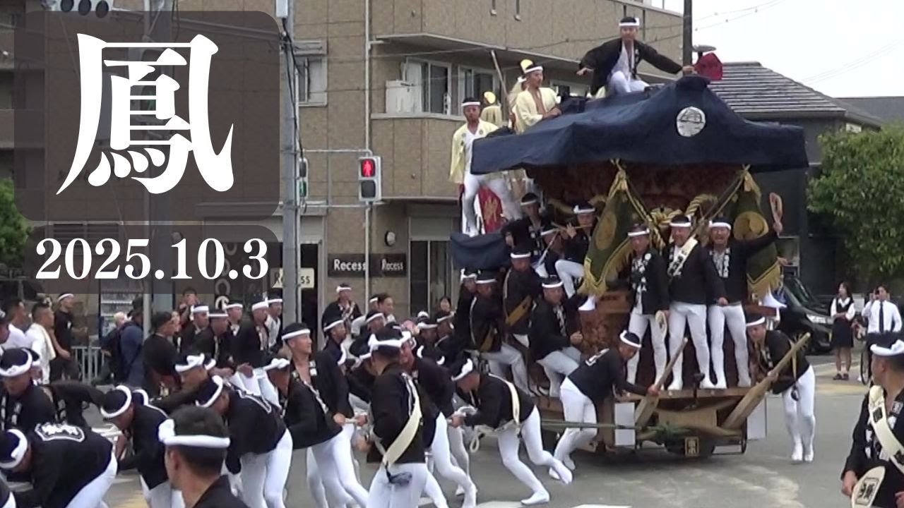 令和7年10月3日　堺市鳳だんじり祭　ドット　アリオ　午前曳行　午後曳行　灯入曳行　やりまわし　ハプニングあり
