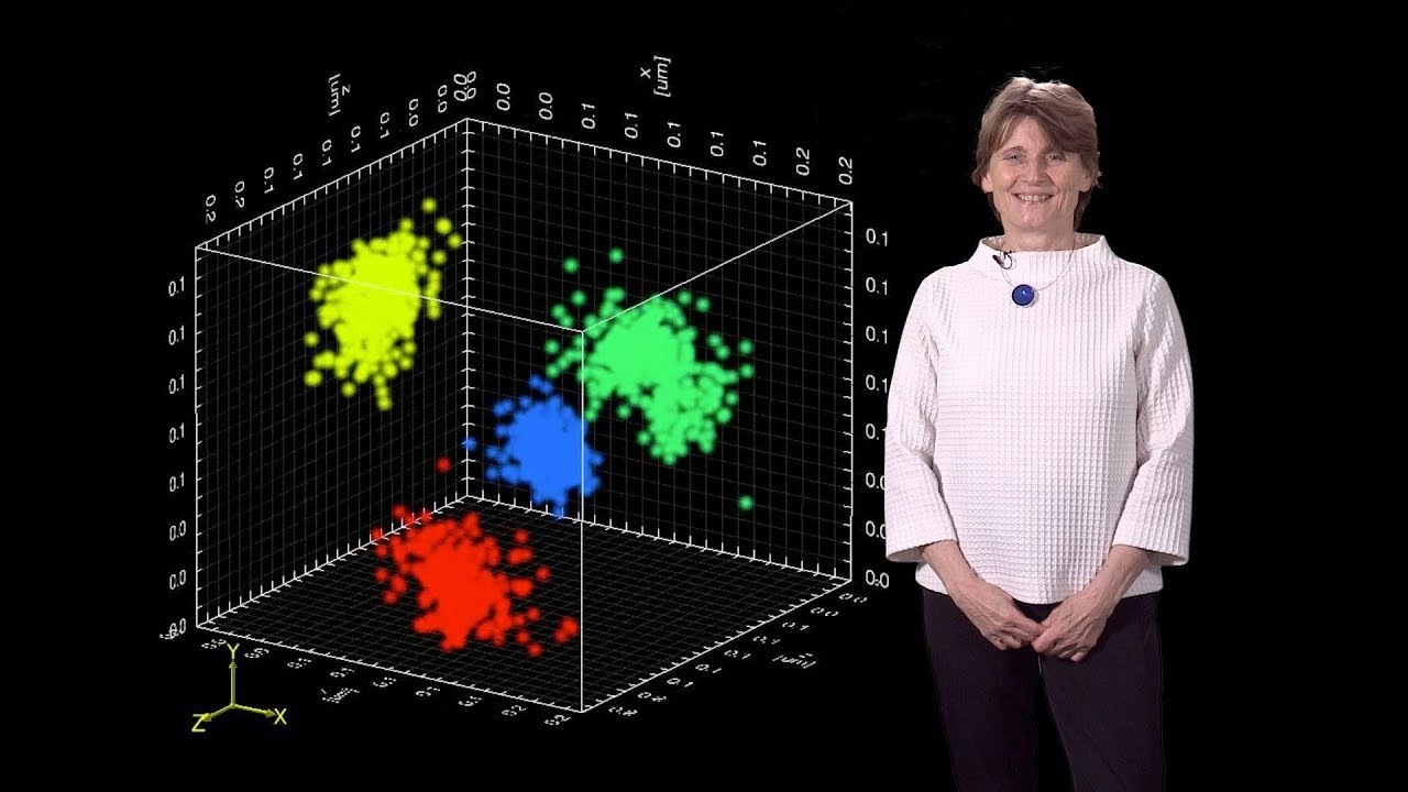Ruth Lehmann (NYU / HHMI) 1: Germ Cell Development