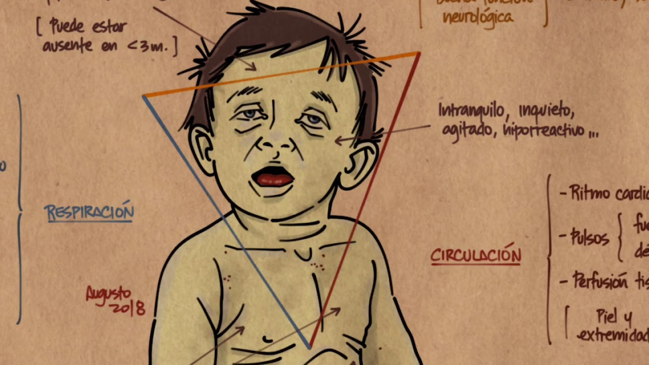 VIDEOCLASE: El niño con patología grave