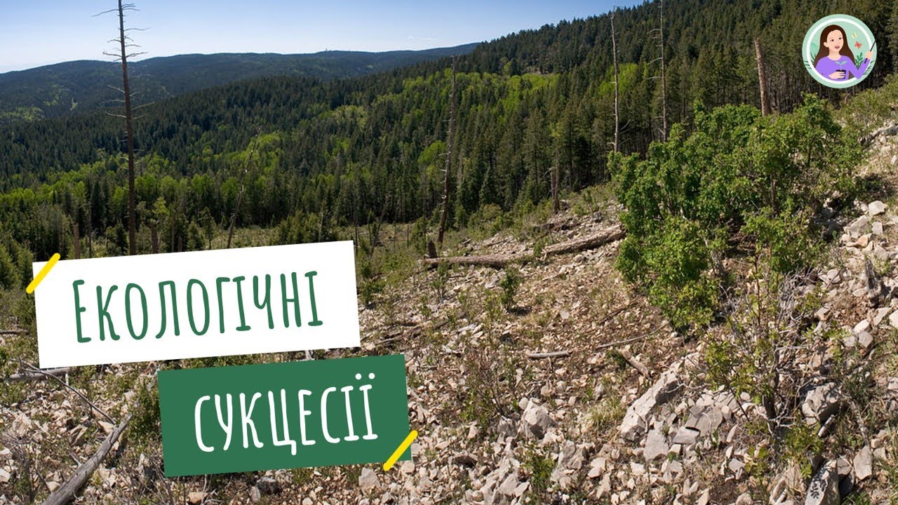 Сукцесії. Причини сукцесій, їхні типи. Закономірності сукцесій
