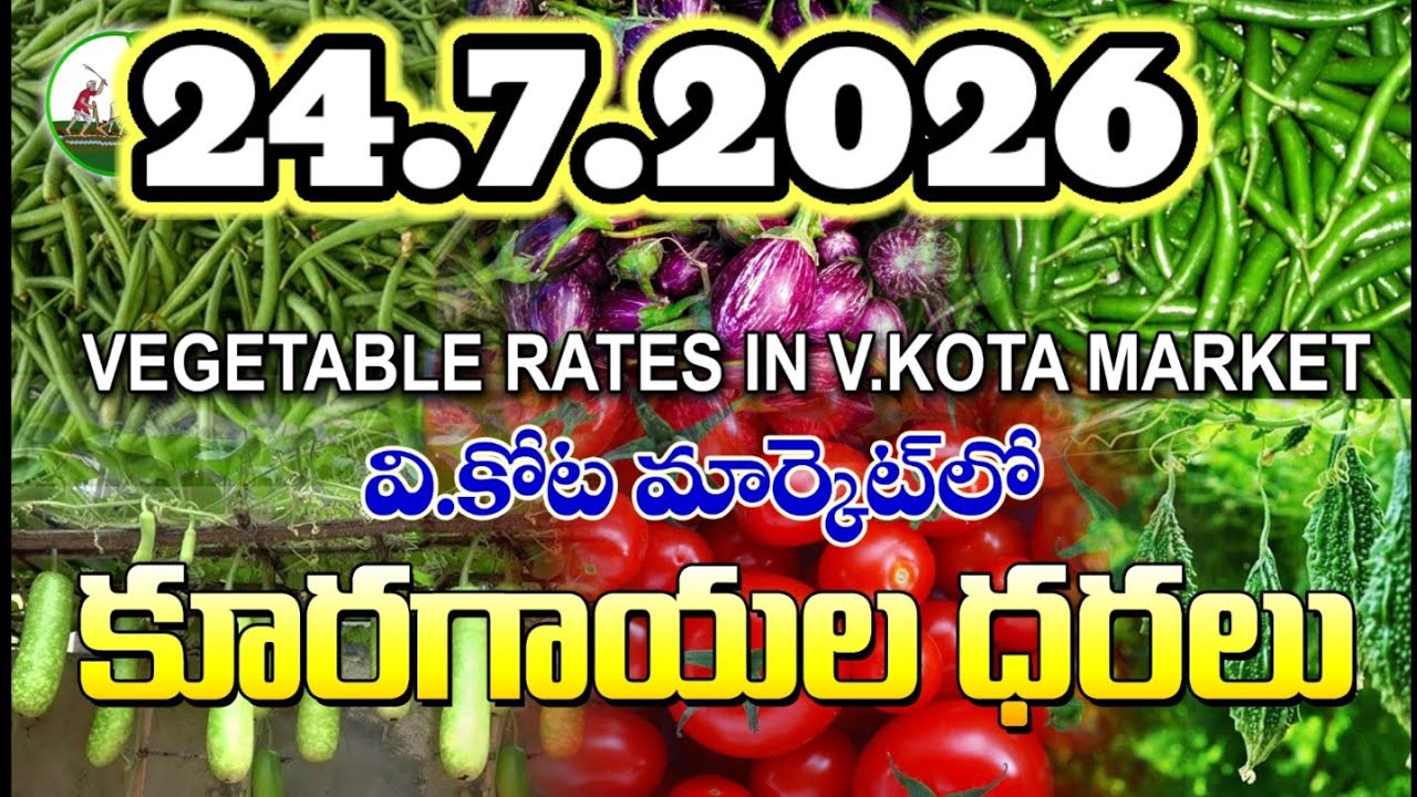 #AMC V.KOTA TODAY BEANS PRICE IN MARKET #ALL VEGETABLE PRICES #marigold 