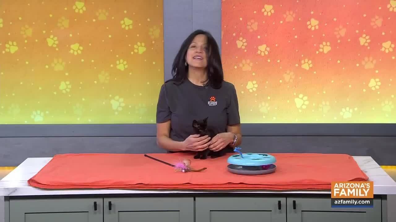 Pets on Parade (Full Episode) February 21, 2026