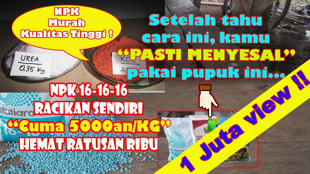 Cara Meracik Pupuk NPK 16 16 16 Sendiri Bahan Pupuk Subsidi, Hemat Ratusan Ribu Kualitas Boleh Diadu