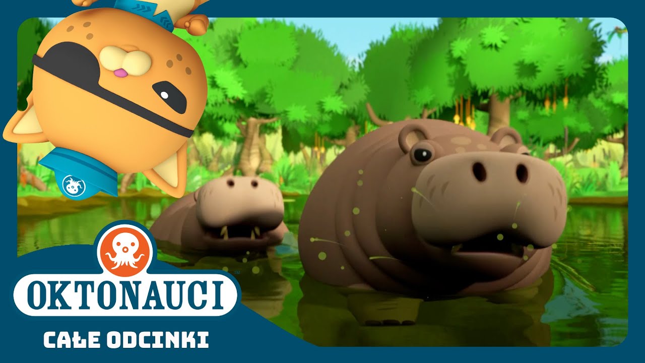 Oktonauci - 🌴 I hipopotamy 🦛 | Cały odcinek 18 | Seria 4