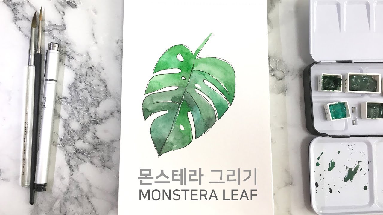 수채화 그림그리기 _ 몬스테라 Monstera Leaf Watercolor Painting 水彩画 すいさいが
