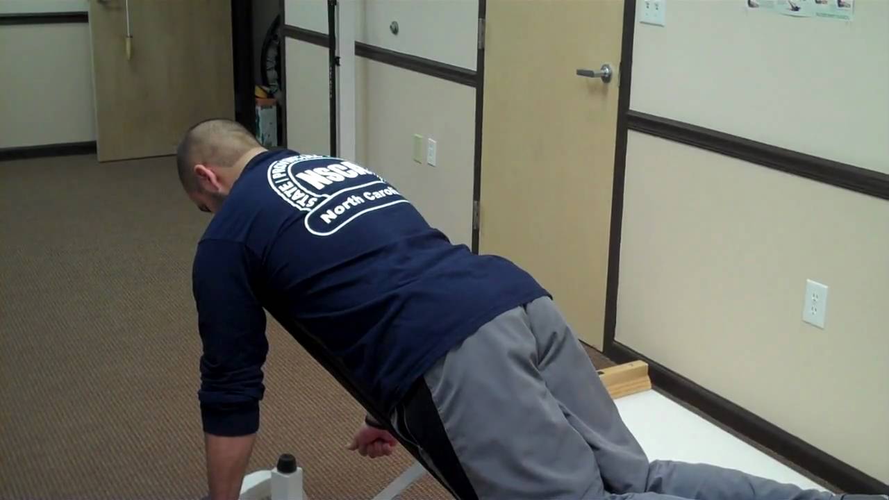 Partners in Health & Wellness - Y's, T's, and W's