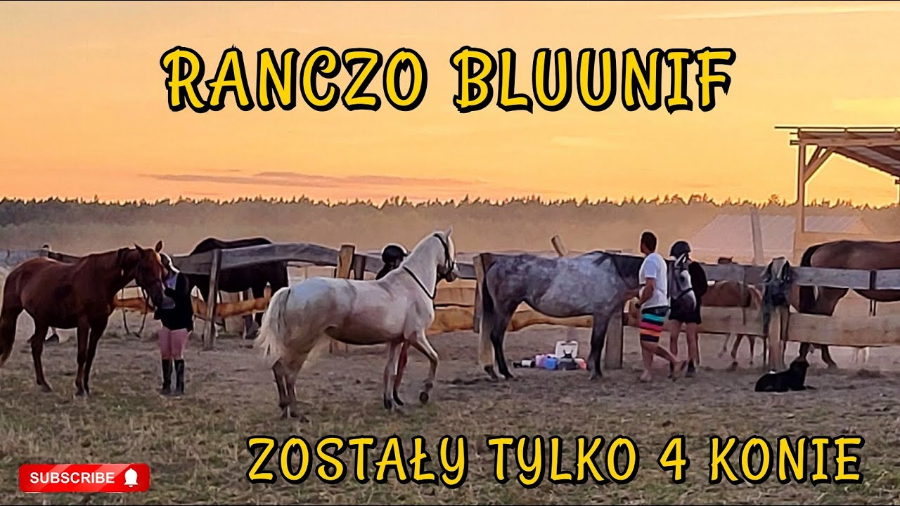 NASZA NOWA STAJNIA / CREMONA I CASAMENTO - PRZYJAZD