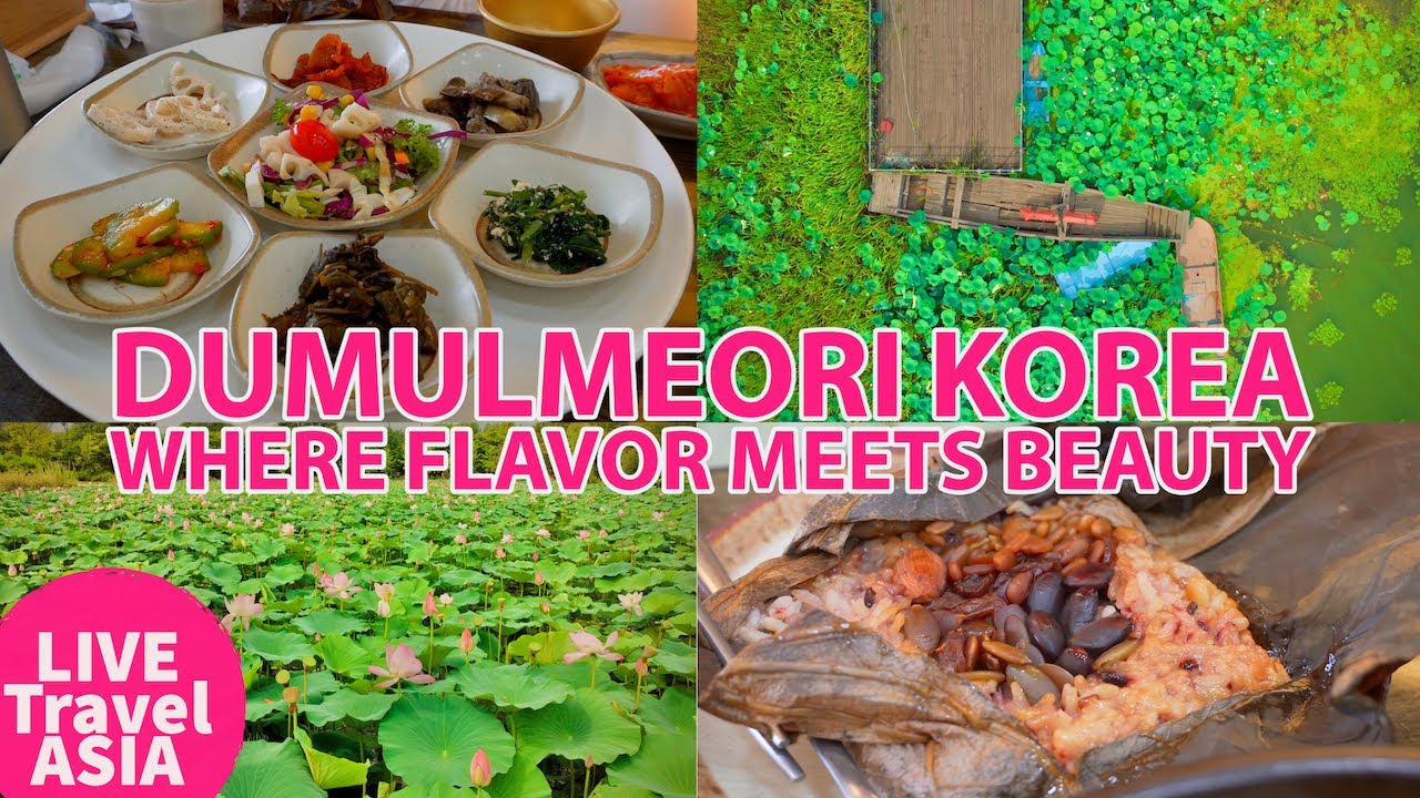 We Try Lotus Flower Foods! at the Breathtaking Semiwon Garden in Dumulmeori Korea