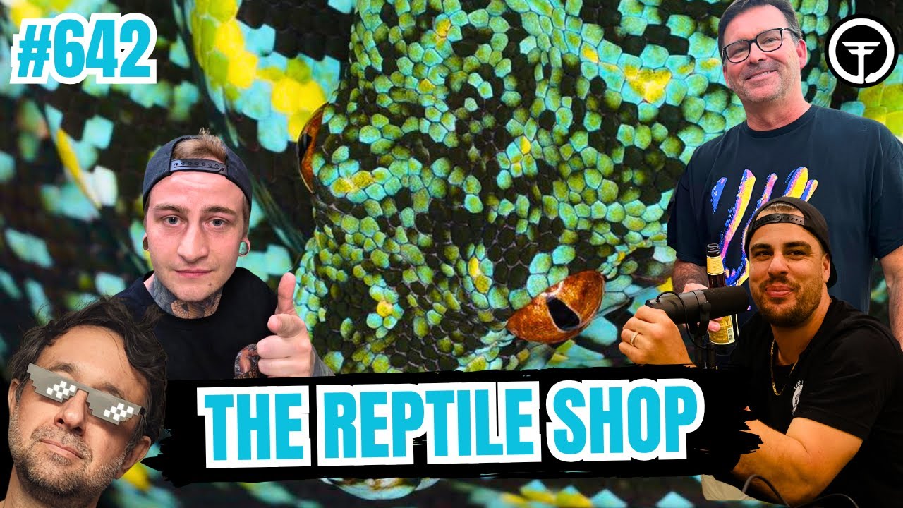 Successfully Breeding Green Tree Pythons & Other Rare Reptiles In Canada | All In The Tree Tuesday