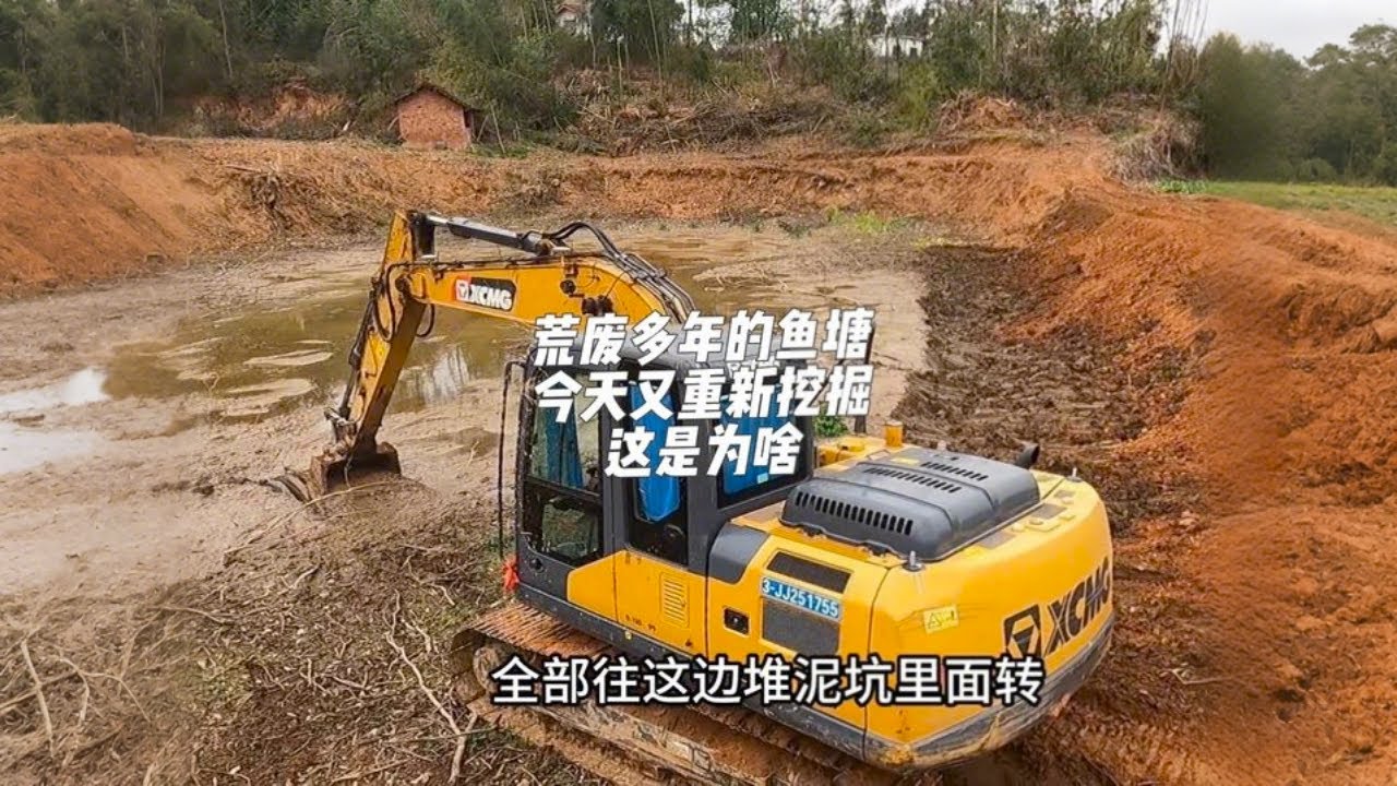 荒废多年的鱼塘，为何花如此代价重新挖掘。原来是怕干旱没有水灌溉农田。那这花的值。接下来就看我精彩的操作#挖鱼塘
