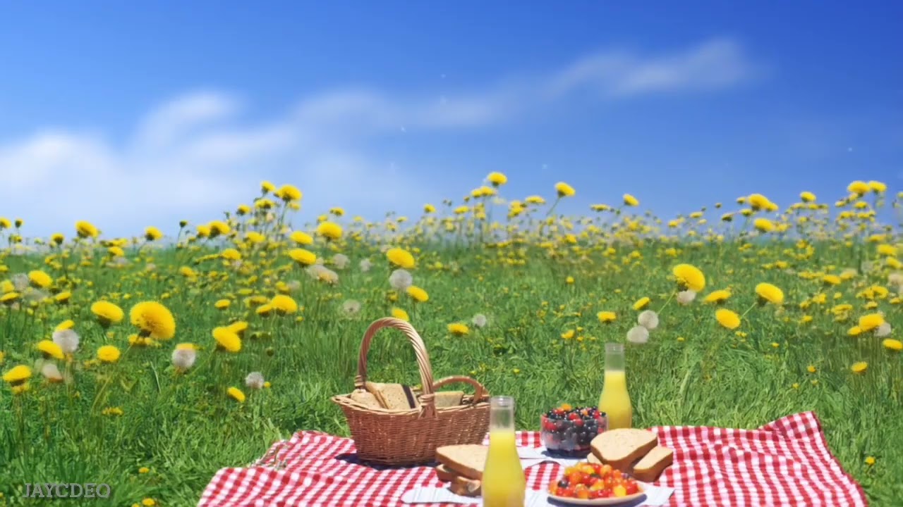 Peaceful nature ASMR