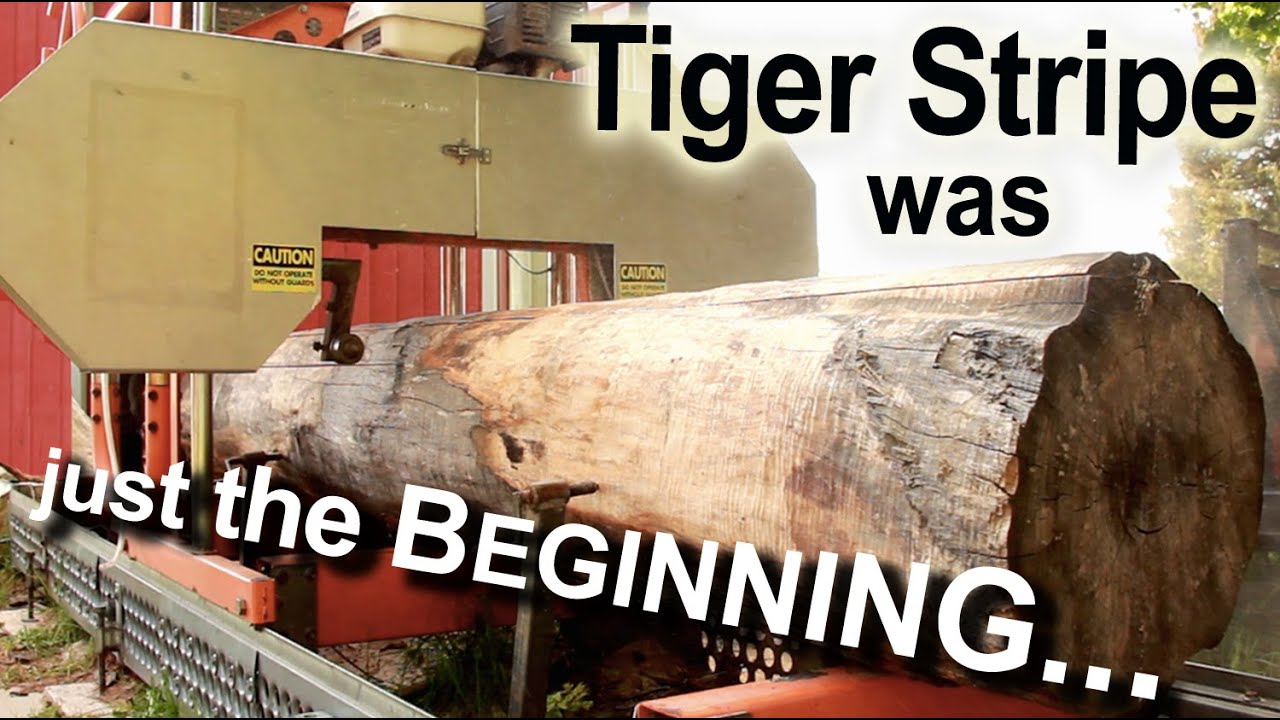 Milling a Triple Threat Maple Log - GRAINIACS Log 84