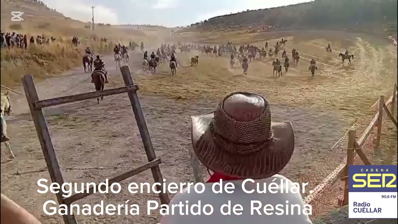 Segundo encierro de Cuéllar 2025. Ganadería de Partido de Resina 