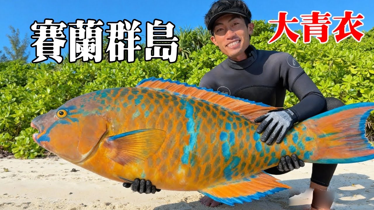巴布亞賽蘭群島生存挑戰全集：上島第一天就遇到大雨侵襲，還好抓到6斤重的巨型大青衣，做火鍋吃比店裡的鮮百倍【探索兄弟】
