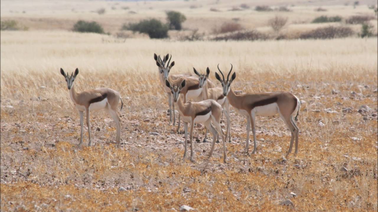 Explore 4x4  Marienfluss Kaokoland Namibia