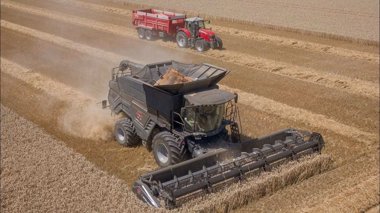Massey Ferguson IDEAL en démonstration dans du blé a plus de 100 qtx