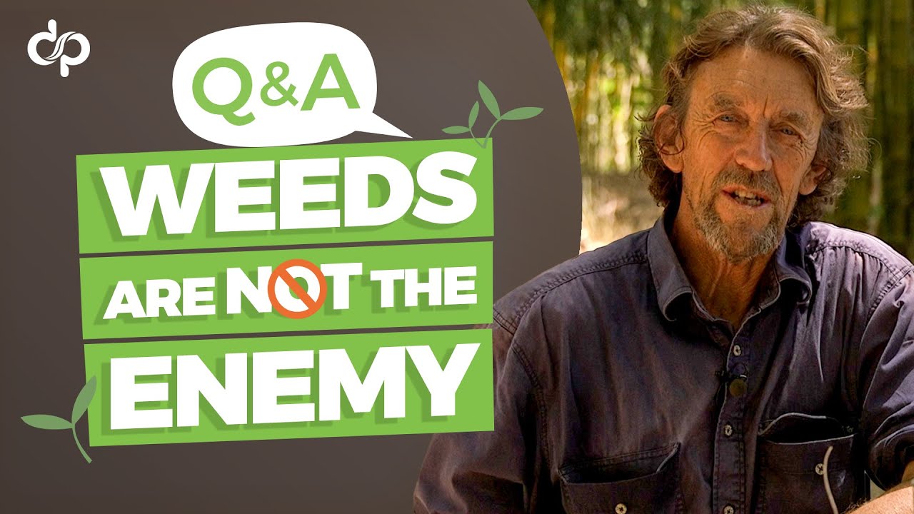 Weeds Are Not the Enemy