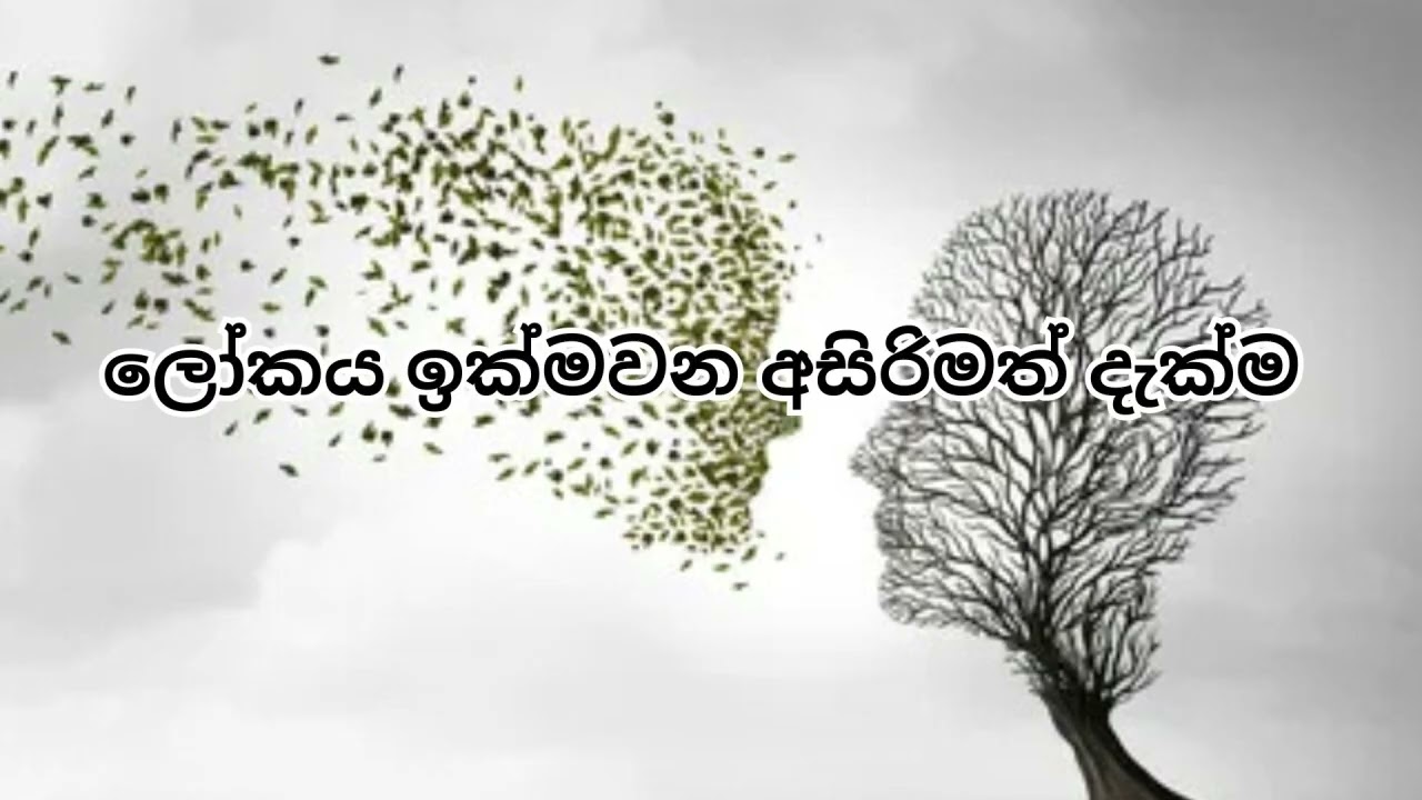 ලෝකය ඉක්මවන අසිරිමත් දැක්ම