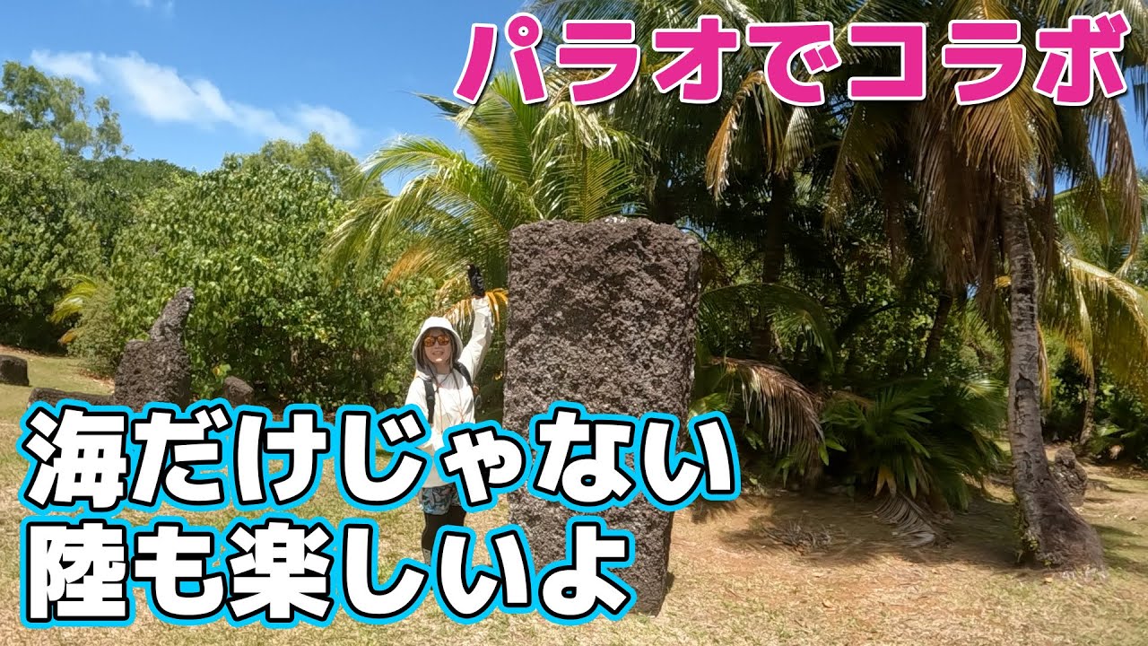 パラオ観光 島内一周ツアー　パラオパシフィックダイバーズさんとのコラボ動画