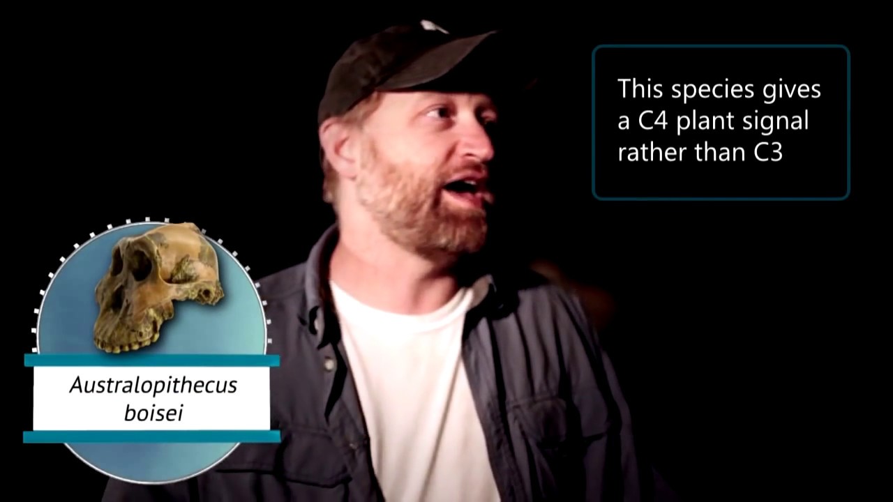 Interview with Matt Sponheimer about stable isotopes
