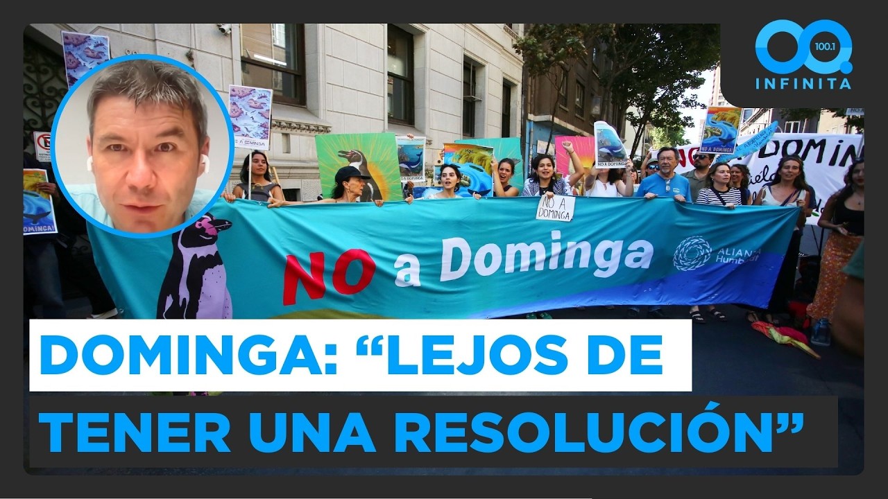 Exministro Marcelo Mena analiza nuevo rev&eacute;s a proyecto Dominga