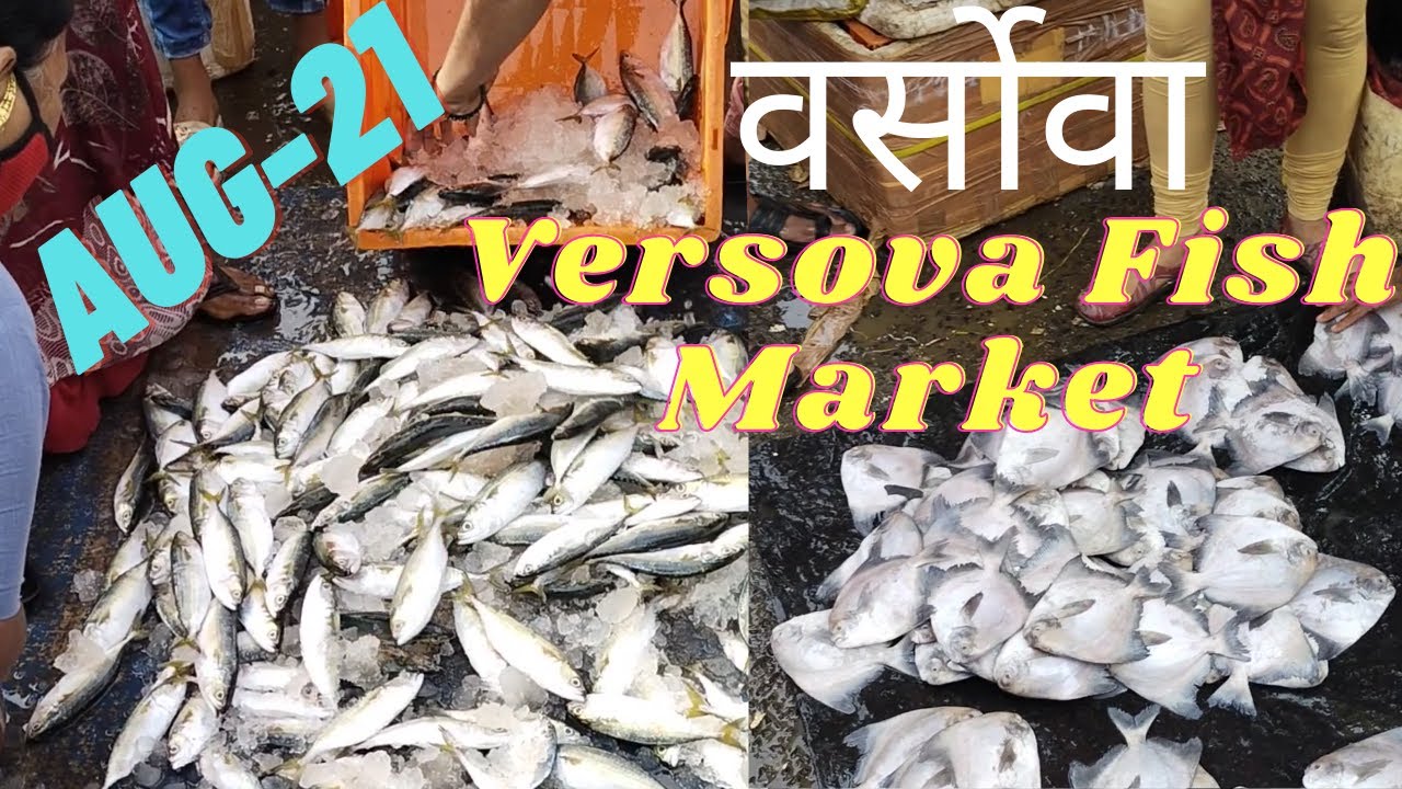 Versova Fish Market | वर्सोवा फिश मार्केट | Wholesale Fish Market Mumbai 2021 | Travel Time |