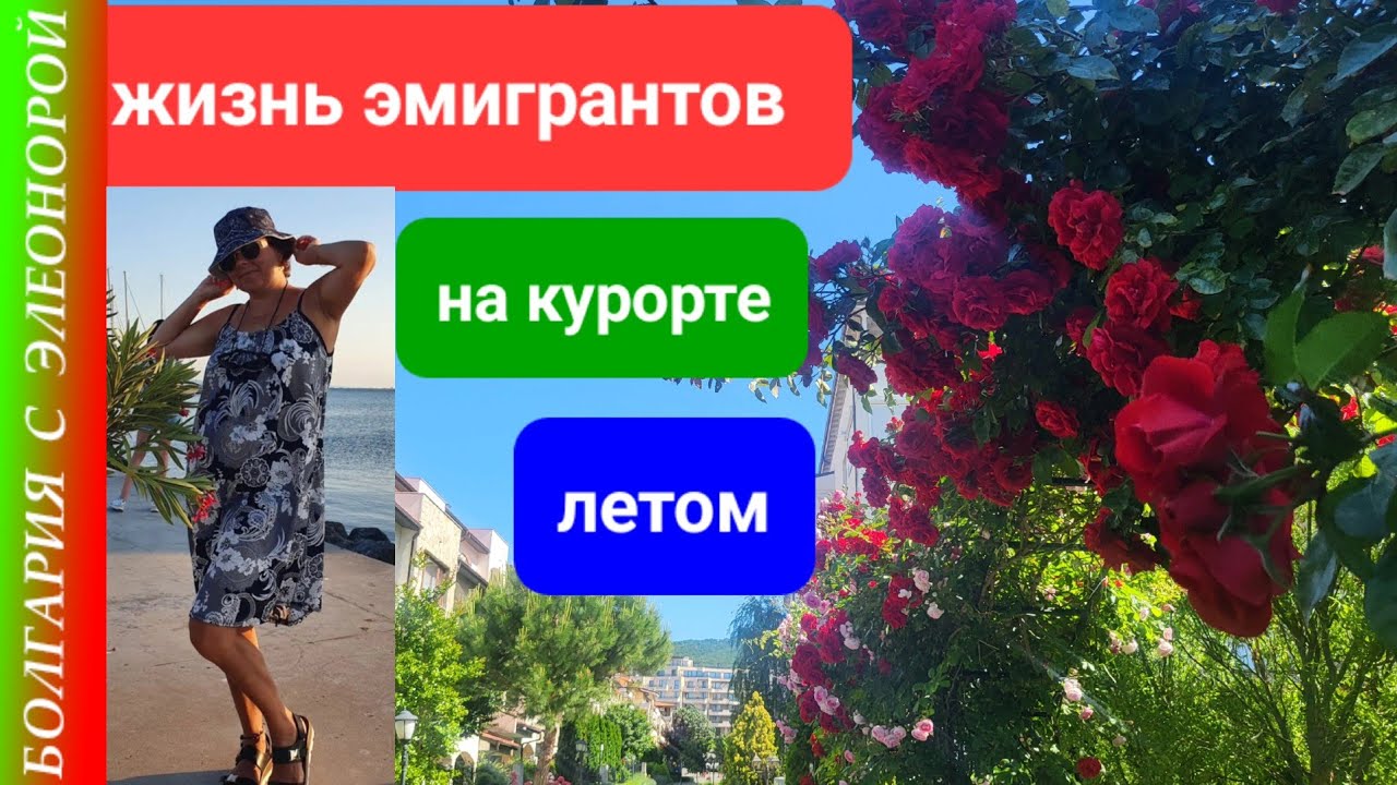 КАК ЖИВУТ ЭМИГРАНТЫ НА СОЛНЕЧНОМ БЕРЕГУ ЛЕТОМ