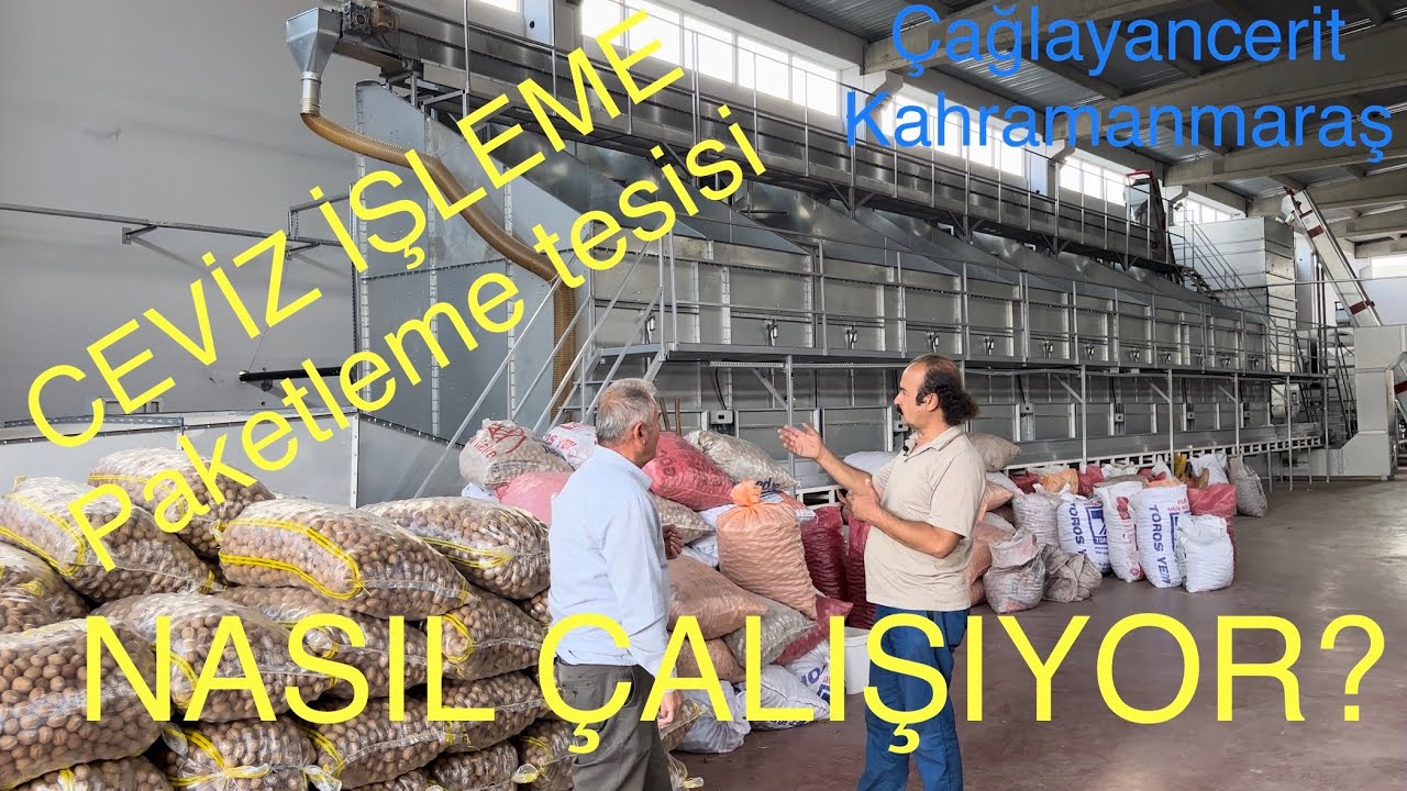 CEVİZ İŞLEME TESİSİ NASIL ÇALIŞIYOR? Nerede kimler Nasıl, Niye kurdu? Ceviz Adam Ahmet