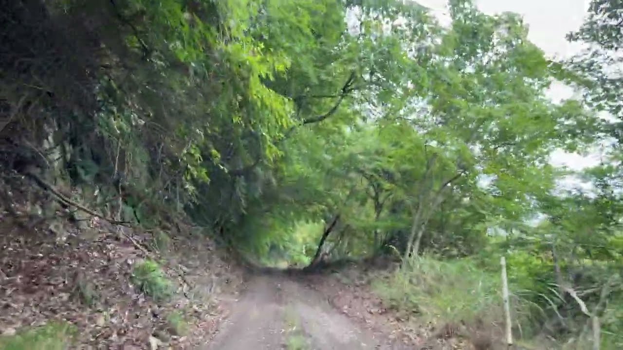 山梨県道113号甲府精進湖線②