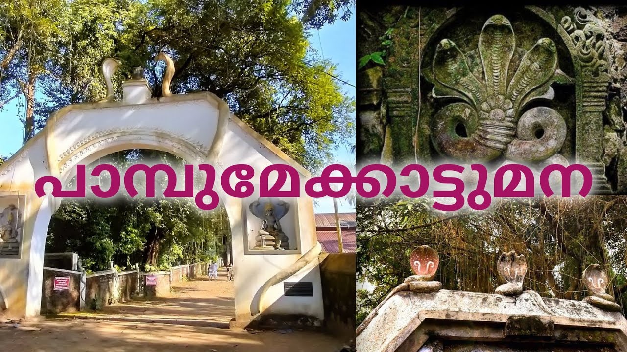 പാമ്പുമേക്കാട്ടുമന🐍🙏 | thrissur | pambumekkad | travel | temple visit | history | real story