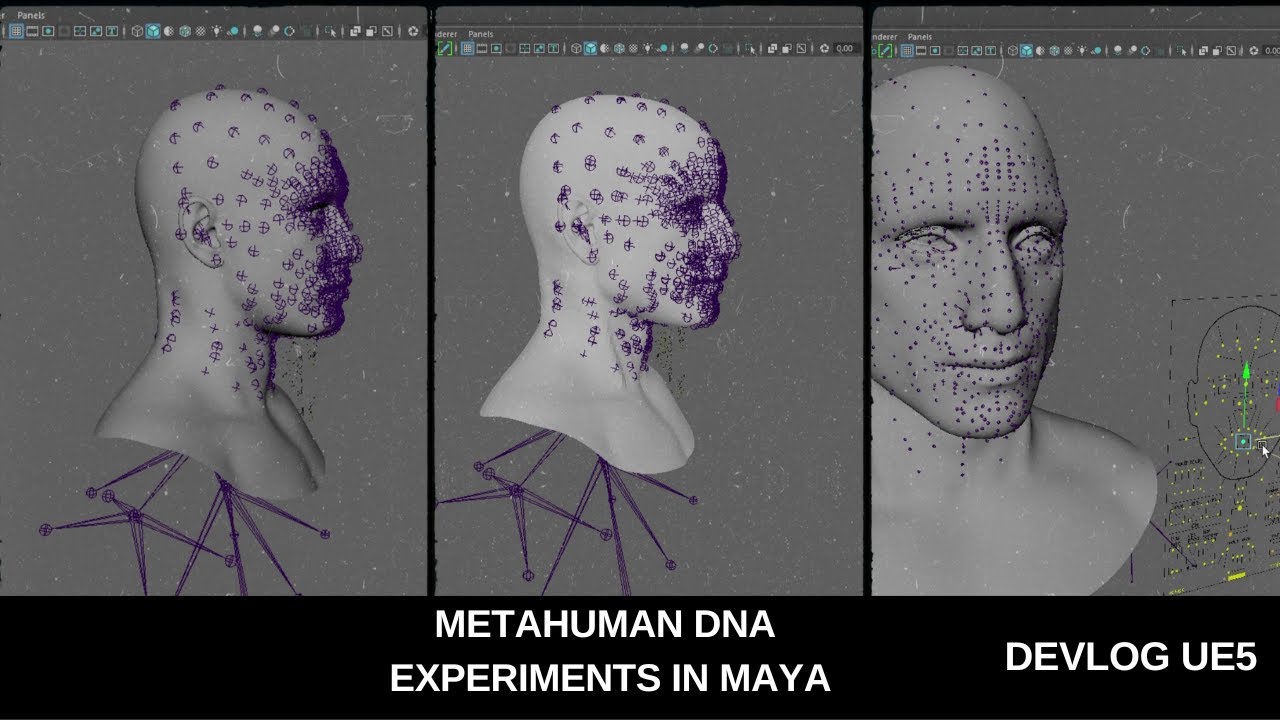 Metahuman DNA (Free Scripts) - Maya Experiments