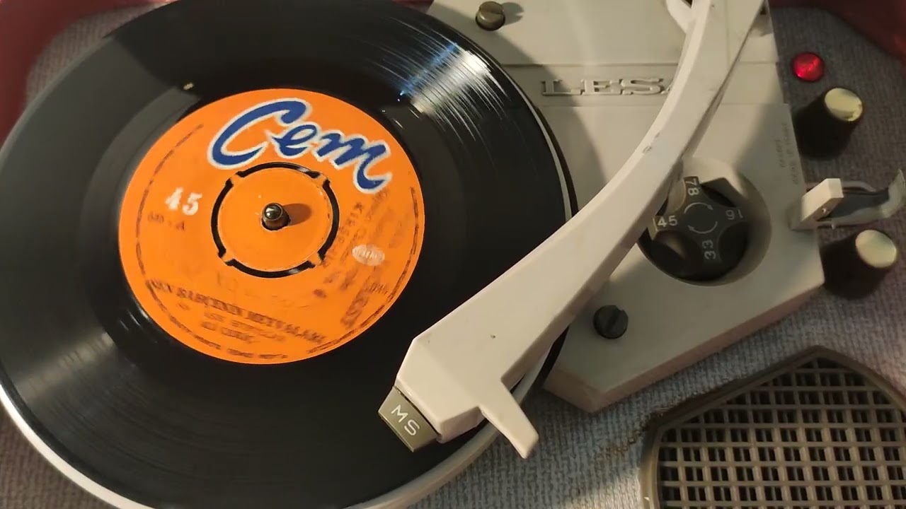 ÇEKİÇ ALİ ŞEN BAHÇENİN MEYVALARI YETİŞİR #bozlak #nostalji #müzik #neşetertaş #çekiçali #kırşehir #