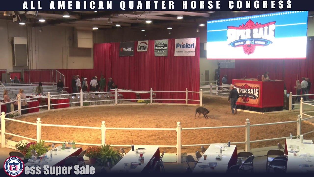 2024 Quarter Horse Congress Super Sale