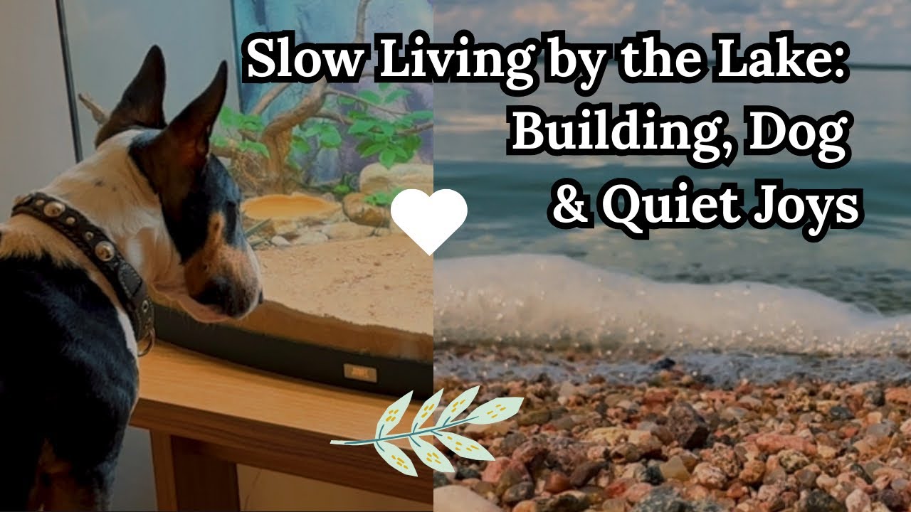 Our Off-Grid Summer: Building, Swimming & a Bull Terrier Who Loves Lizards 🦎🐶