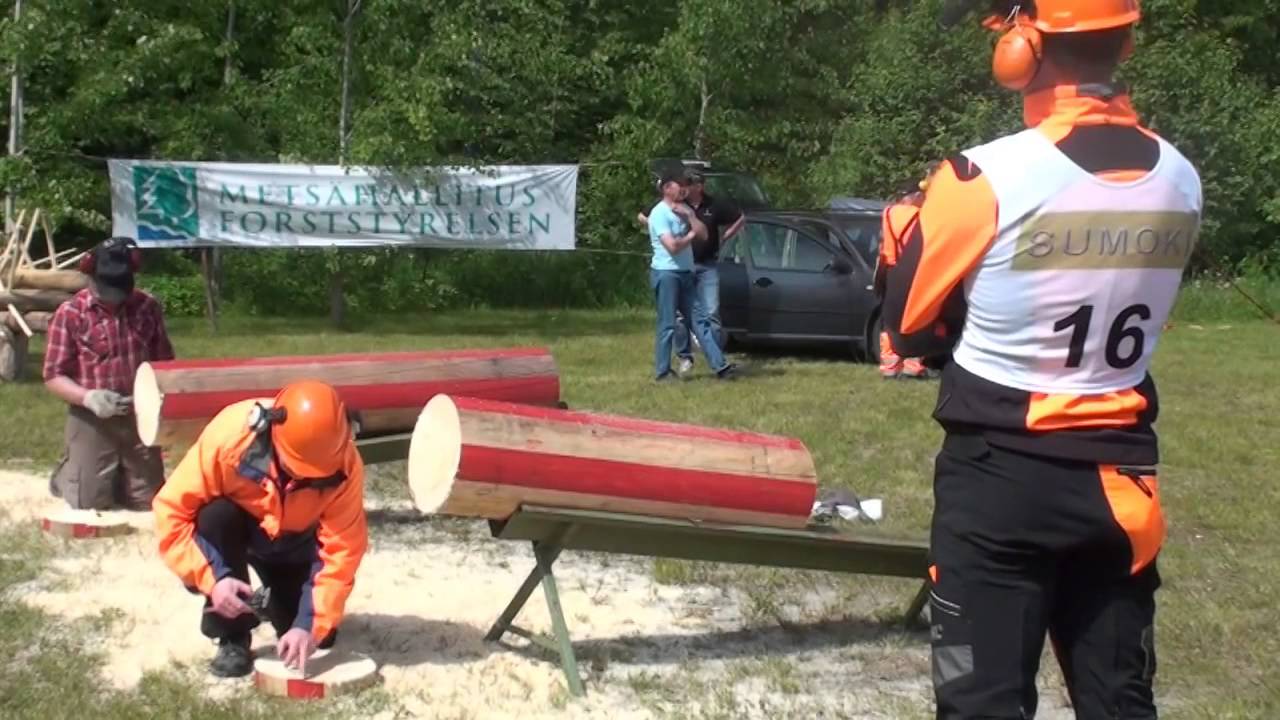 SM kisat LUSTO 2015