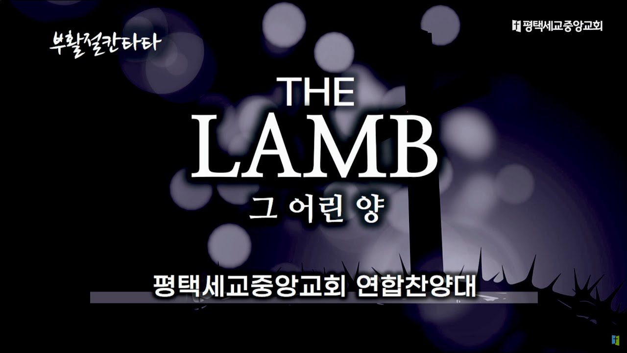 [2025년 부활절 칸타타] | 그 어린 양 | 세교중앙교회 연합 찬양대