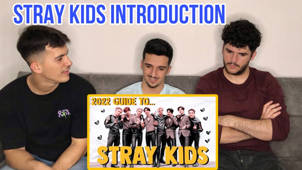 Реакция FNF на руководство по STRAY KIDS за 2022 год | ВВЕДЕНИЕ В STRAY KIDS