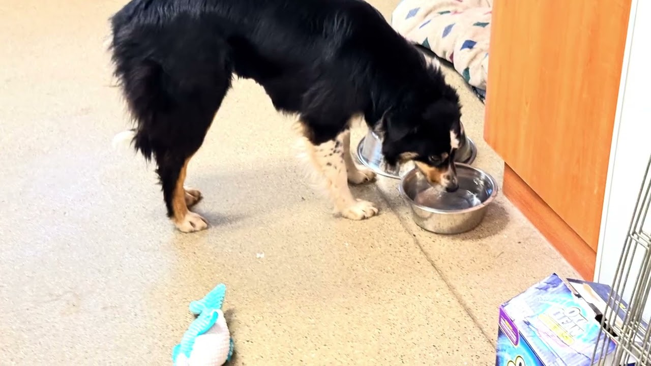 You just gotta have Faith! She’s super shy early on, but she’ll snap out of it!