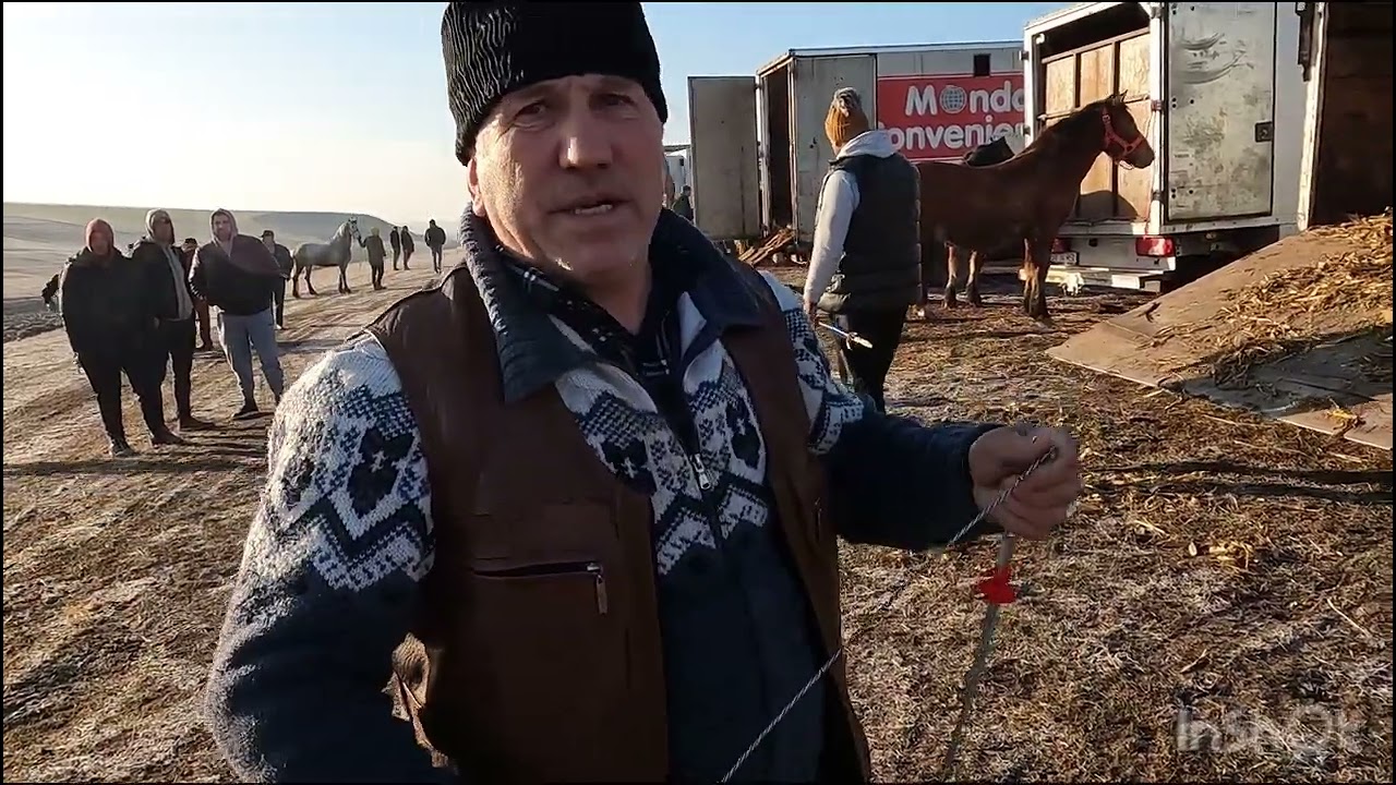 TÂRGUL DE CAII,CÂINI DE BUCVINA ȘI OI DIN LOC -3 MOVILE.SUCEAVA POLONZI.UNGUESTI,FREZIENI.10.03.2024
