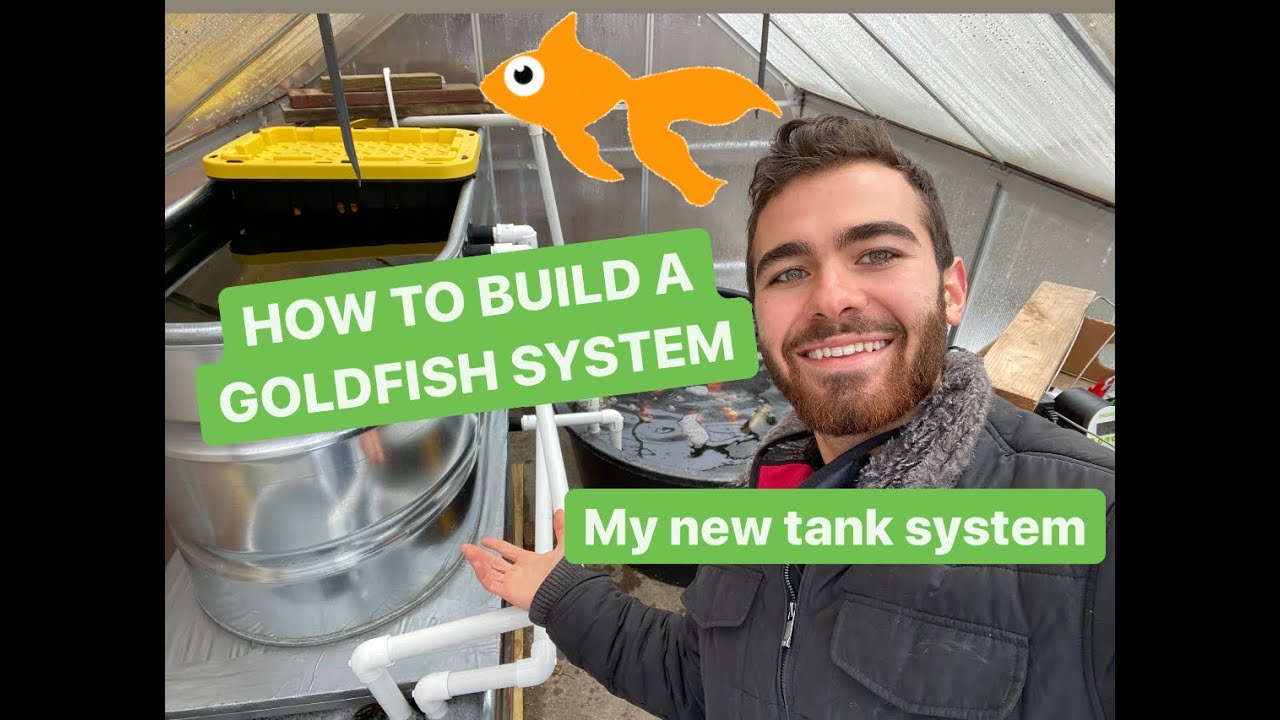 How to build an above ground goldfish pond system - My new updated greenhouse system.