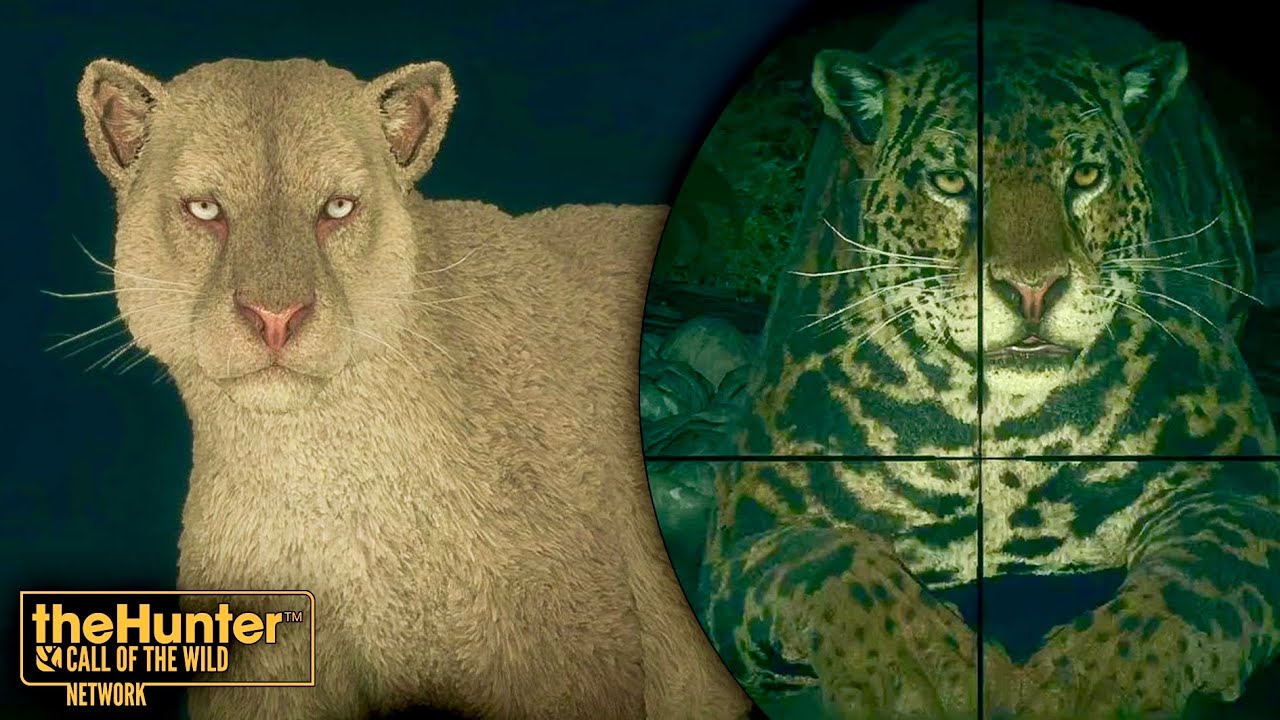 JAGUARS ON INTISUYU! RARES, TROPHIES AND MORE IN CLOSE UP IN CALL OF THE WILD PERU EARLY ACCESS!