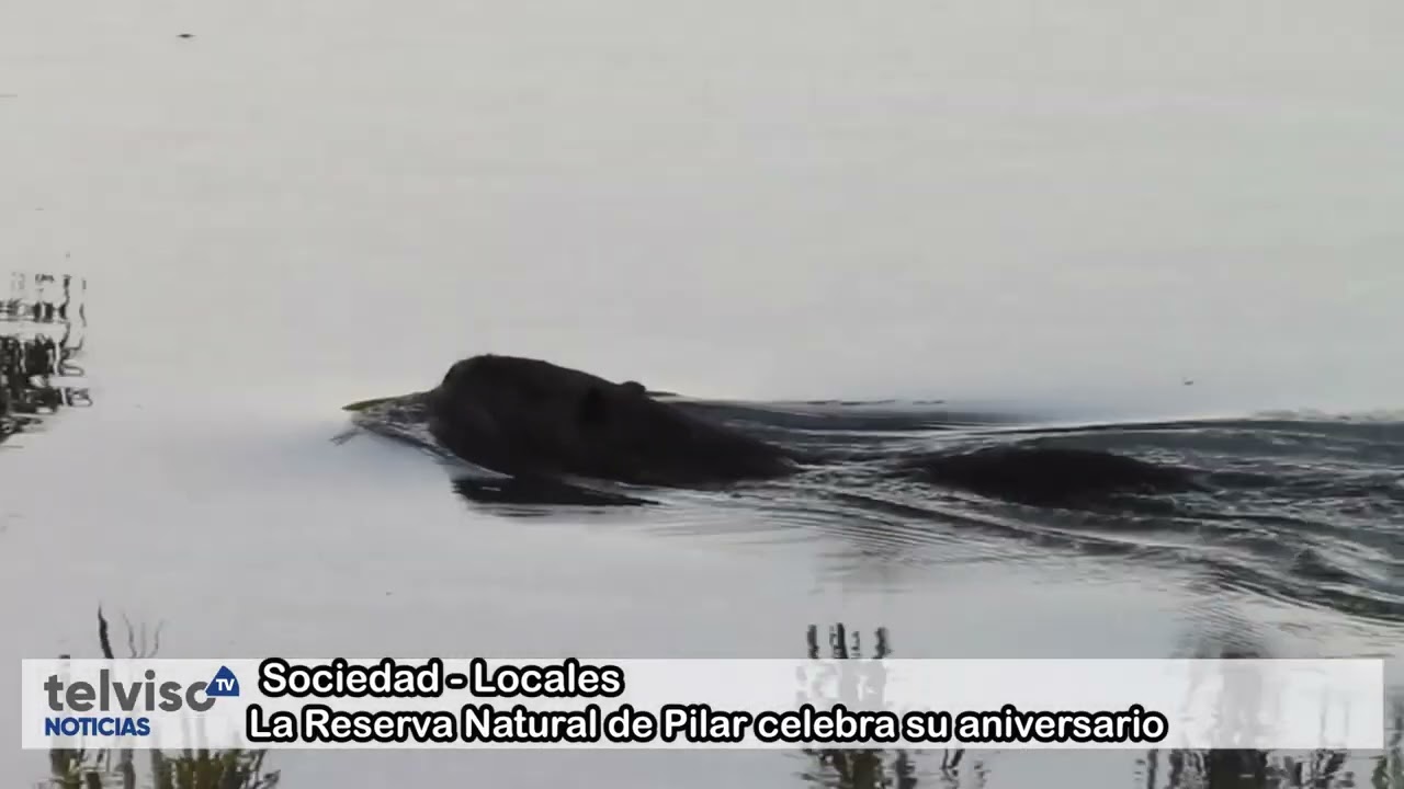 6.11.2025 - LA RESERVA NATURAL DE PILAR CELEBRA SU ANIVERSARIO - TELVISO NOTICIAS