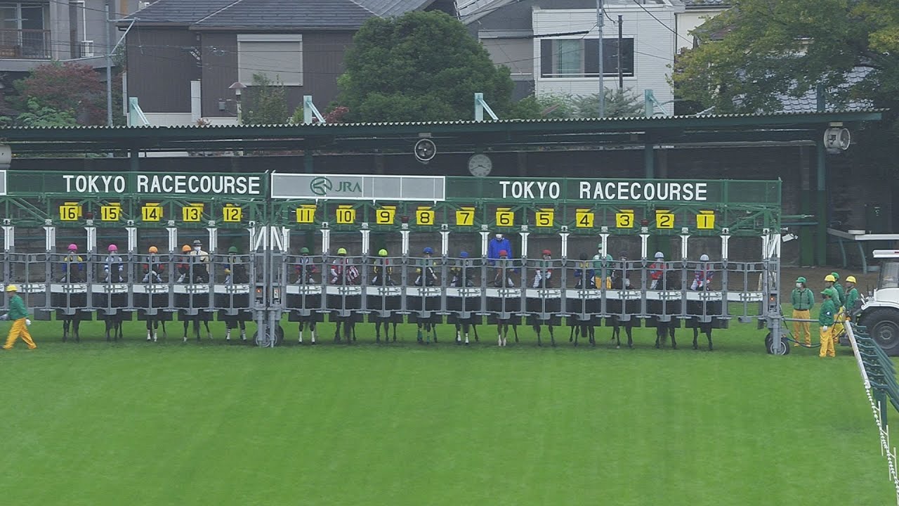 2021 Tenno Sho-Autumn (G1) | JRA Official